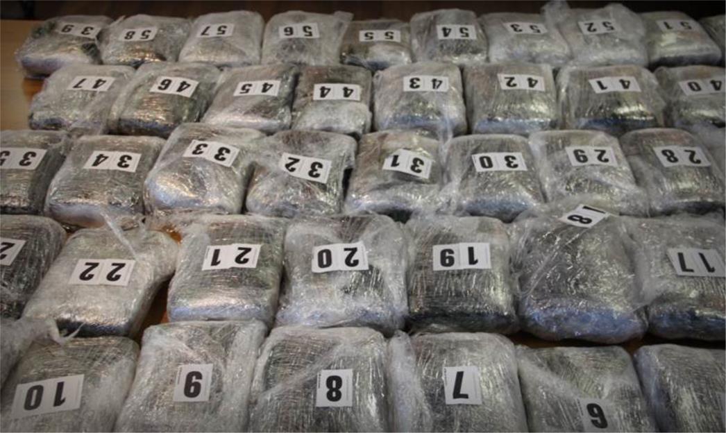 VELIKA POLICIJSKA AKCIJA: Zaplijenjeno 806 kg marihuane, uhićeno osmero Hrvata!