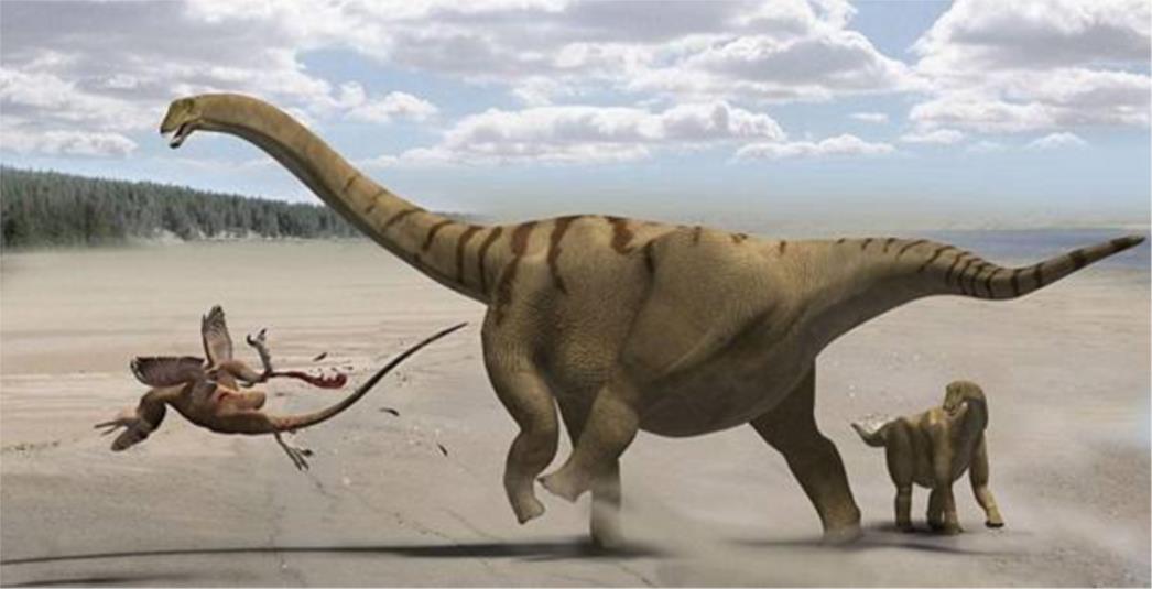 Otkrivena vrsta snažnog dinosaura, Brontomerus 