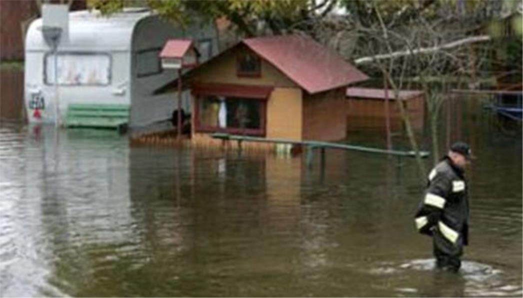  Trogodišnjem brazilcu najbolji prijatelj aligator od tri metra