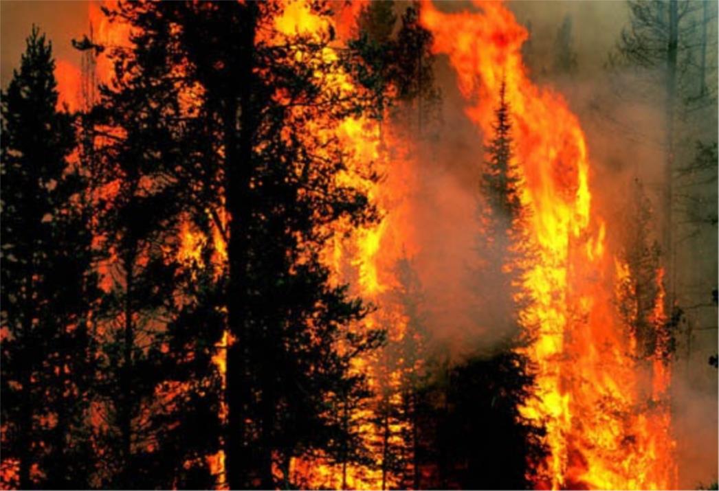  Trogodišnjakinja predviđa točno vrijeme požara