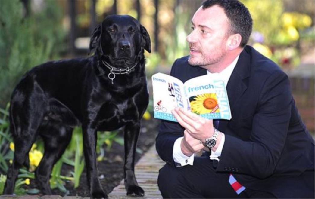 Pas rođen u Francuskoj uredno ignorira naredbe na engleskom