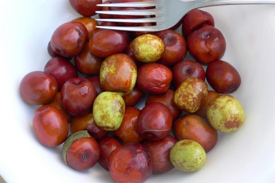 ČIČIMAK: Visoki sadržaj korisnih sastojaka i vitamina C!