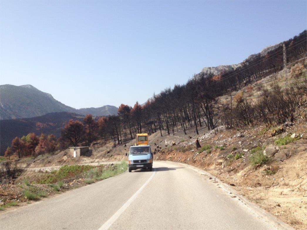 ŽUC čisti  uz ceste opožarenih dijelova Pelješca i Korčule /FOTO/