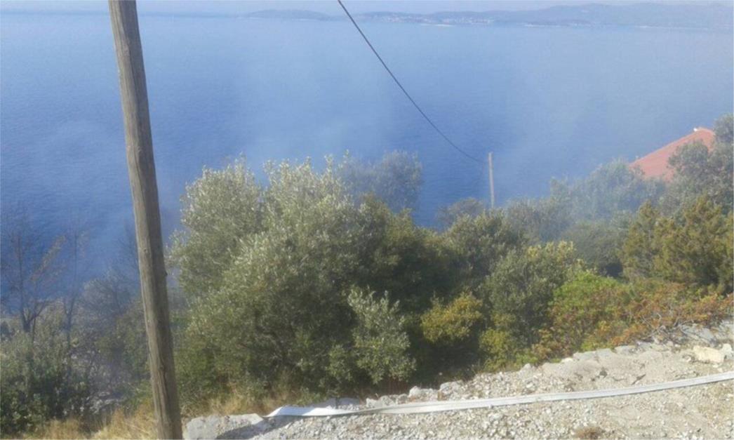 Na Orebiću planuli borovi i gusto nisko raslinje, intervenirali vatrogasci