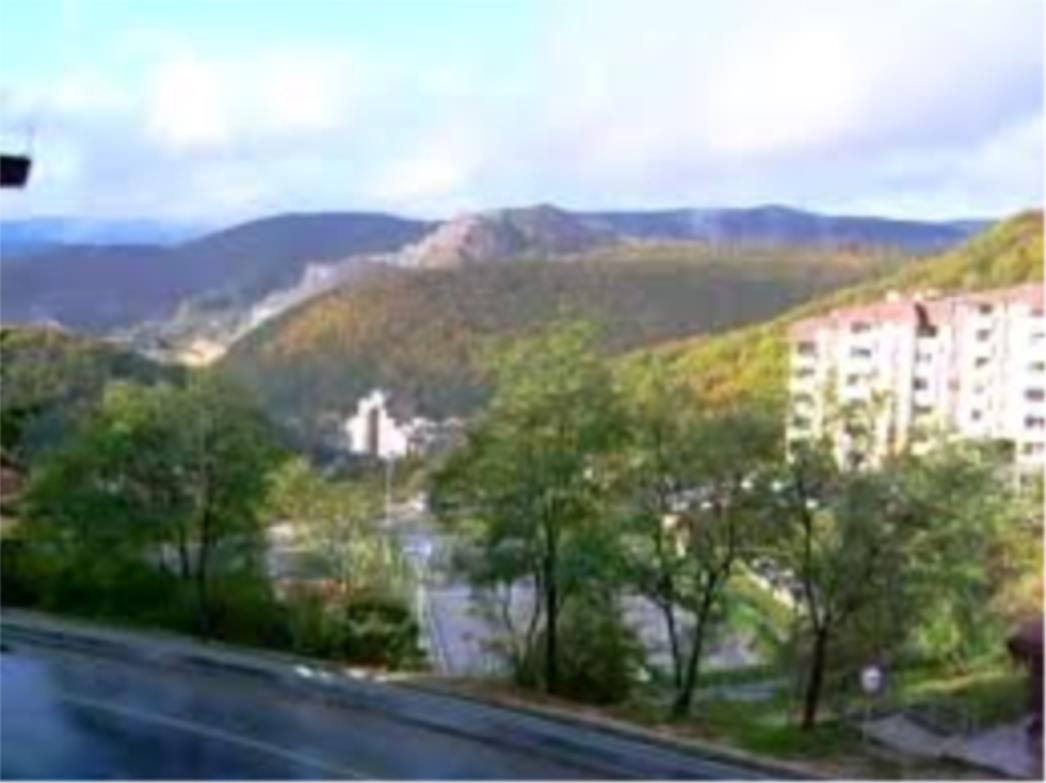 HRVATICA OTVORILA KAFIĆ U SRBIJI Lokalni moćnik joj prijeti da će 'očistiti ustaše i Hrvate iz Srbije'