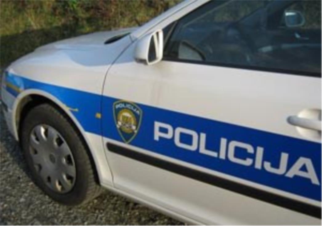 Ubojstvo u Rogotinu kraj Ploča