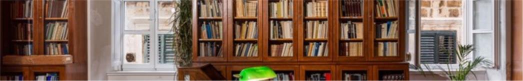 Ivan Viđen održao predavanje o Pasku Baburici