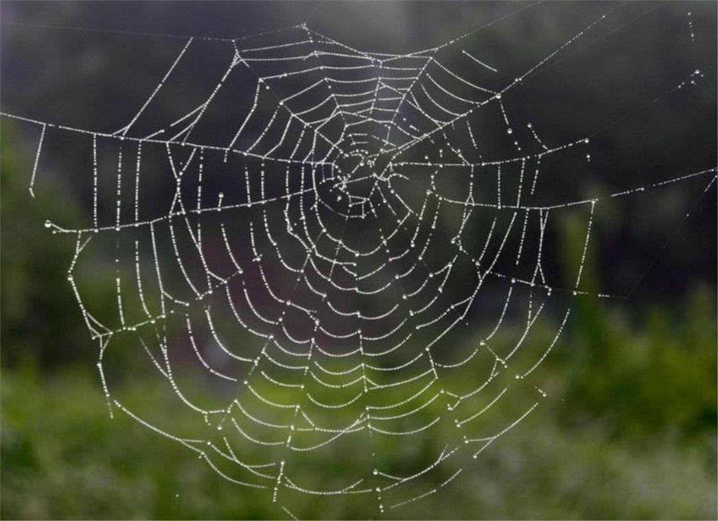  Cetinski, Končar, Nobilo i Jakovčić