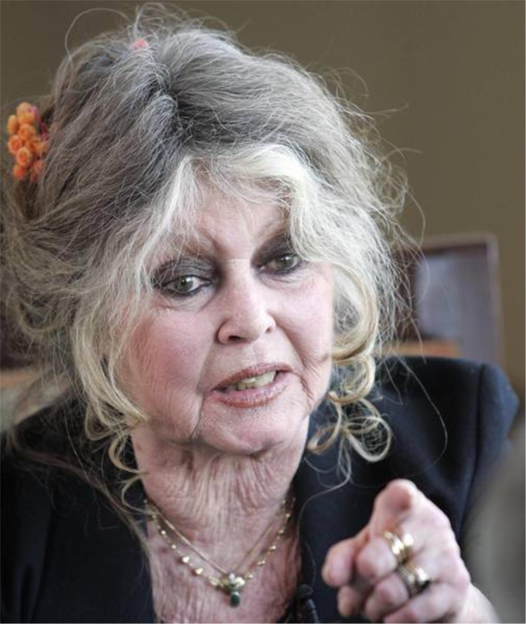 Brigitte Bardot za predsjednicu Francuske?
