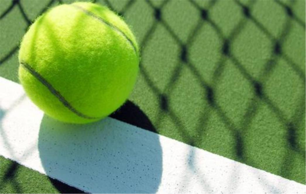 Raonic: S Ljubičićem svaki dan napredujem 