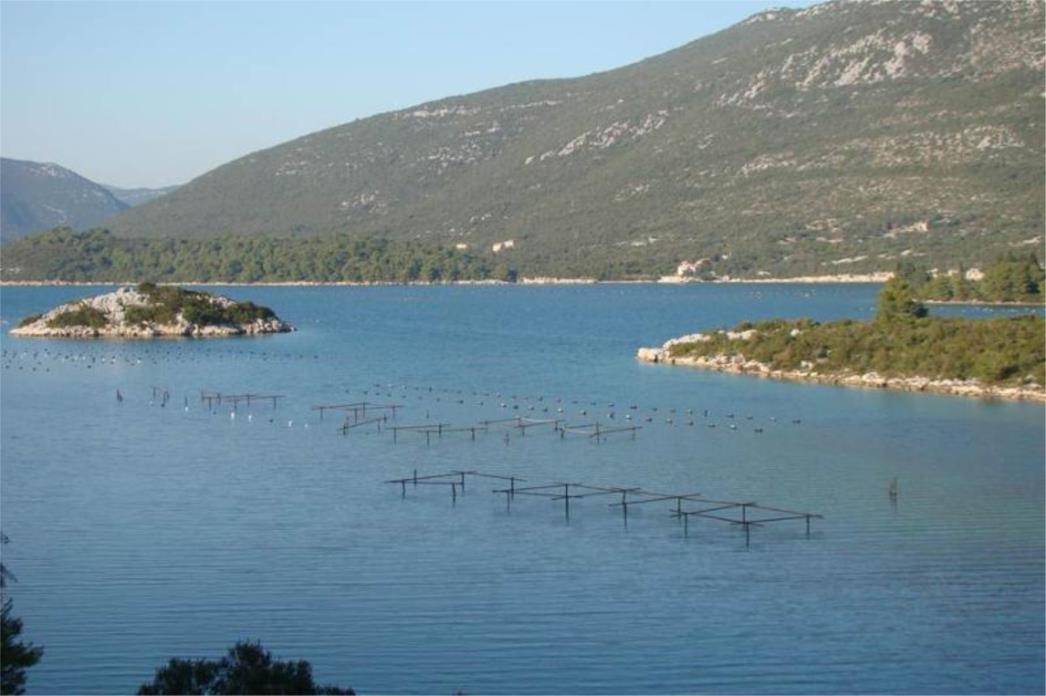 Vlasnici Velikog Školja Tihomir i Josip Putica tvrde kako taj otok pripada Trećem entitetu BiH