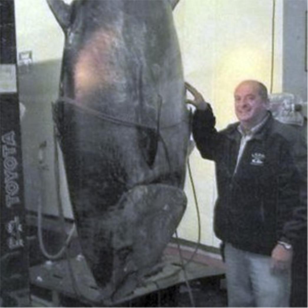 SAD: Ribaru oduzeta tuna od 400 kg 
