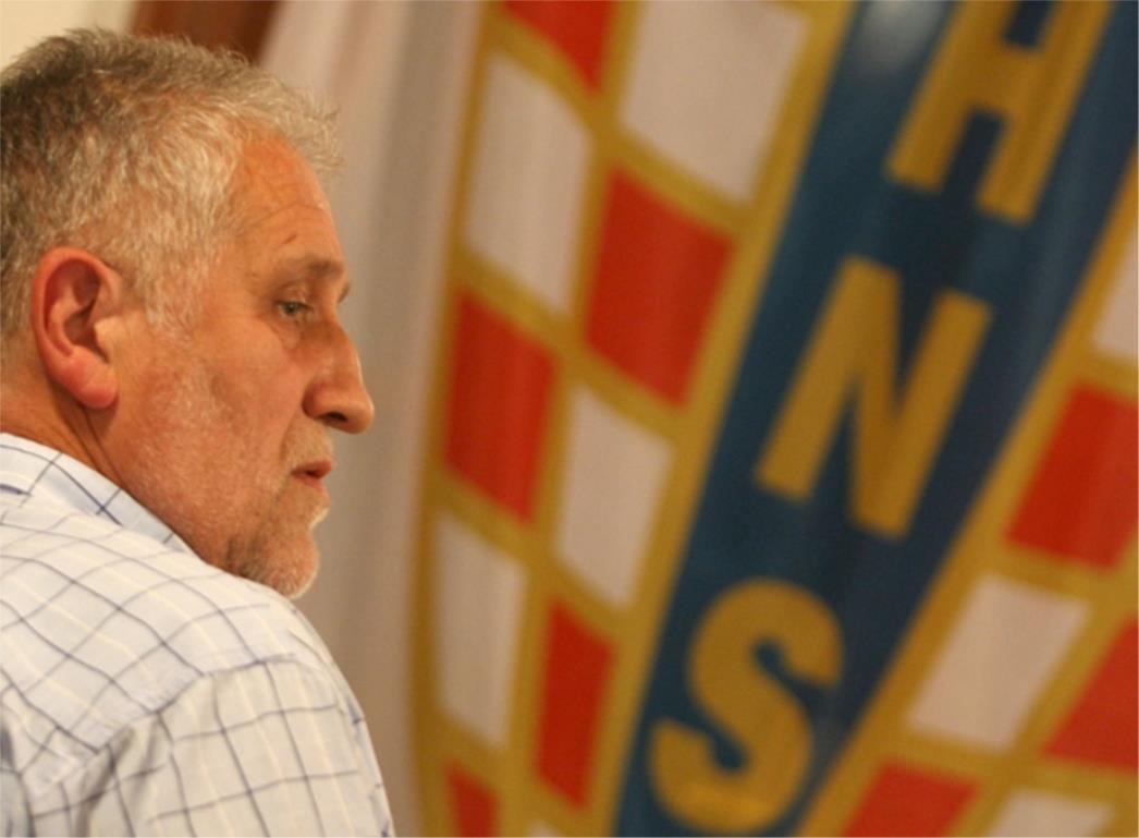 Novi izbori u ŽNS-u, Vićan i dalje sudjeluje u radu HNS-a