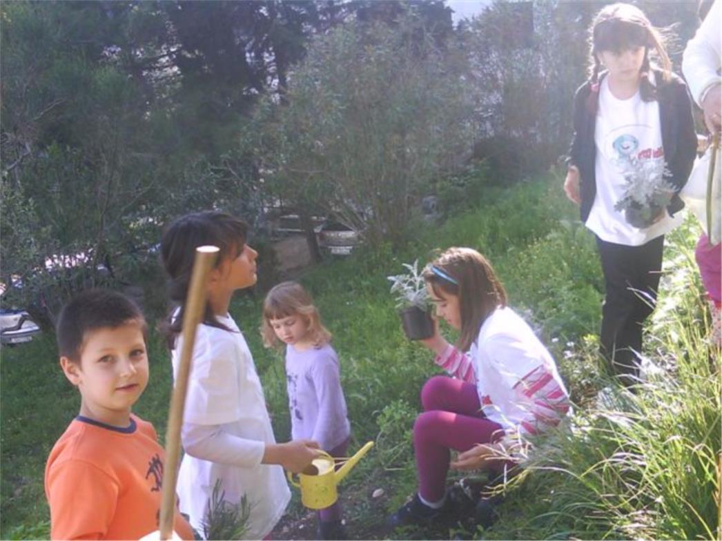 Ekolozi opljačkani dok su obilježavali Dan planeta Zemlje (FOTO)