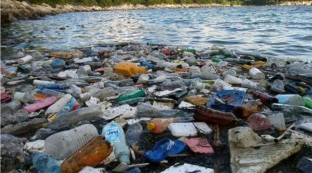 Obale Mljeta i Pelješca zagušene bolničkim otpadom i strvinama životinja