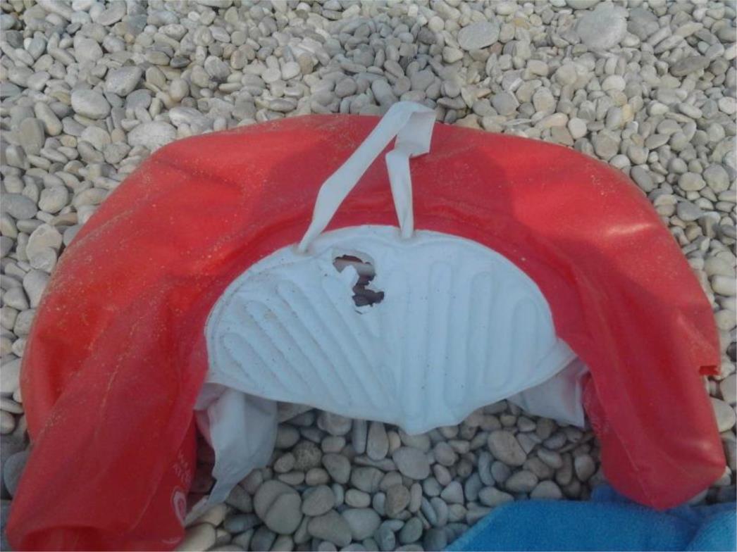 Psi uništavali opremu kupača na plaži u Kuparima