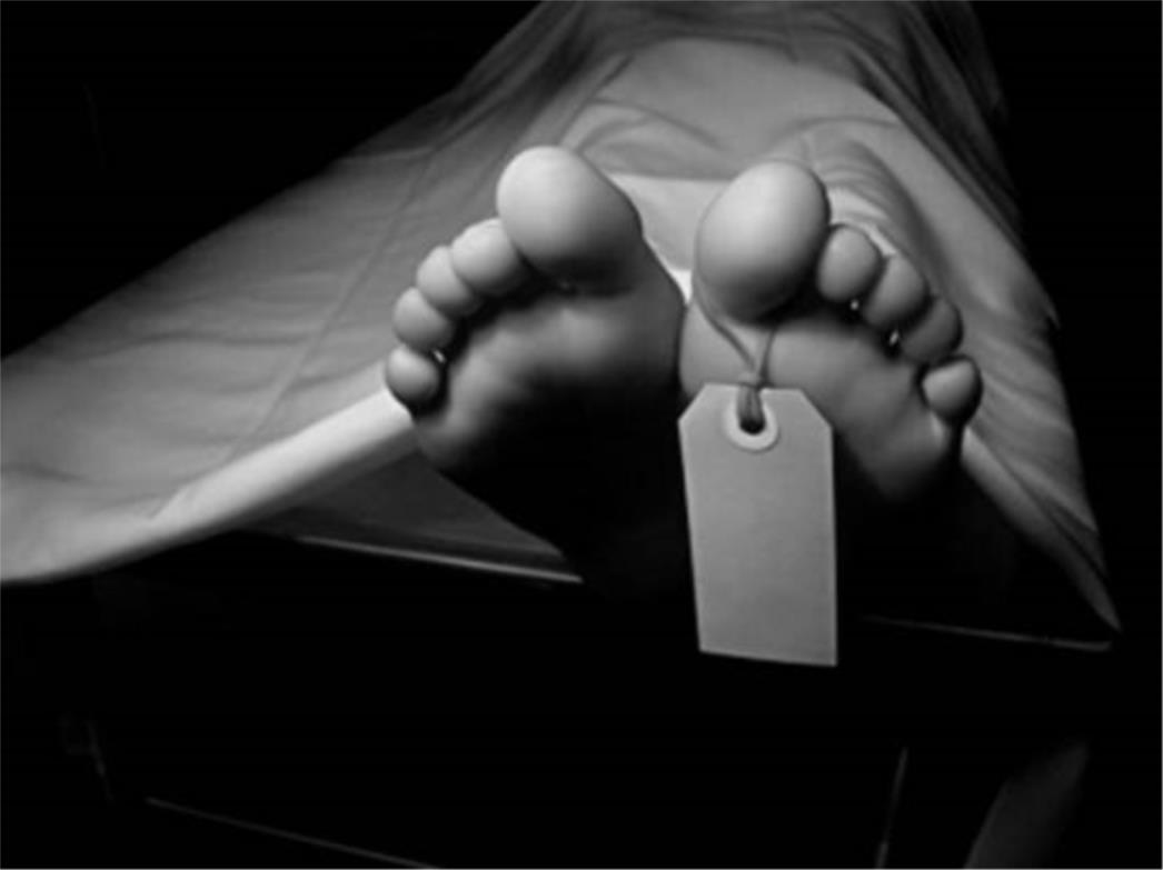  Švedski studenti izvršili autopsiju na preminulom profesoru!
