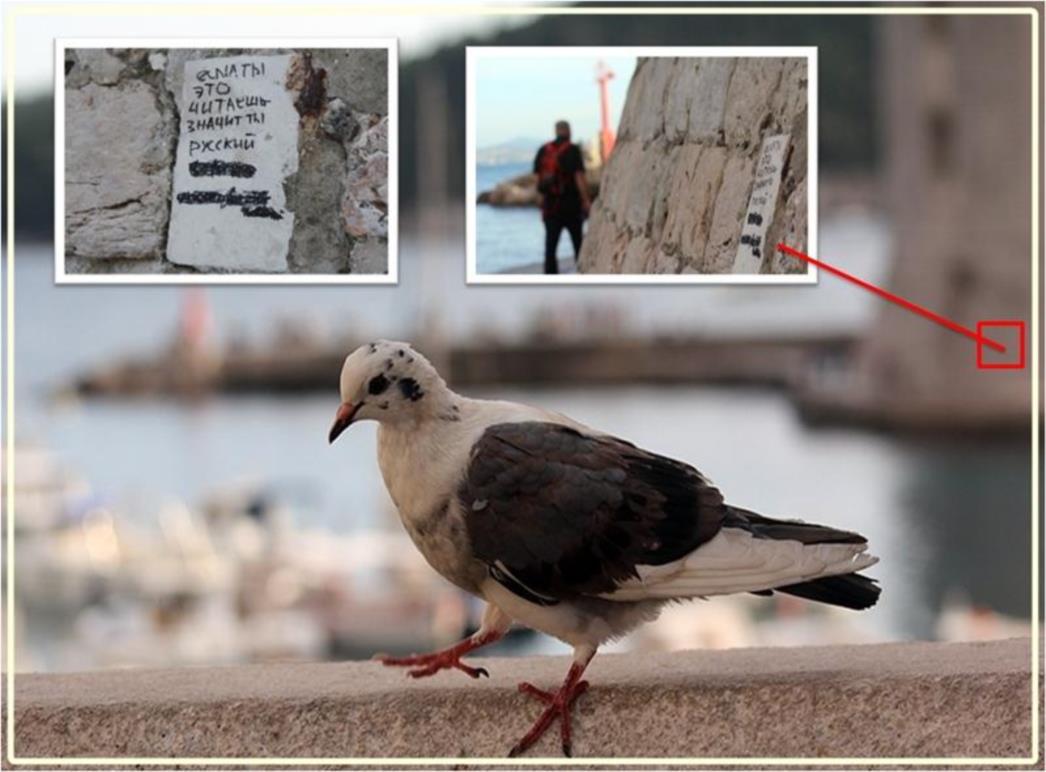 GRAFIT NA PORPORELI: Poruka koju rijetki razumiju (FOTO) 