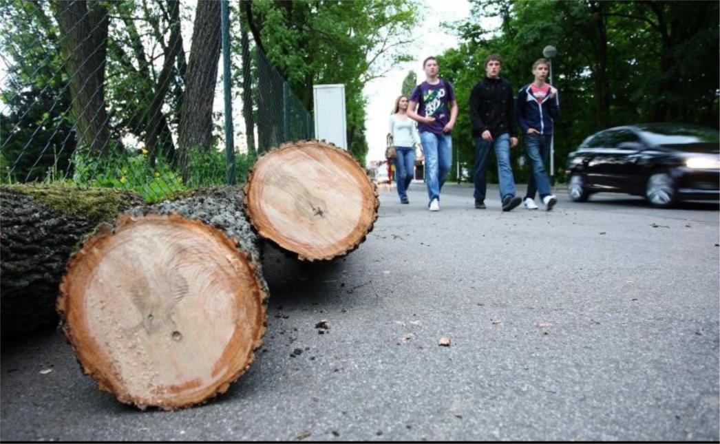 'Opasniji su balvani u institucijama, nego ovi koji su srušeni na cestu kod Knina'