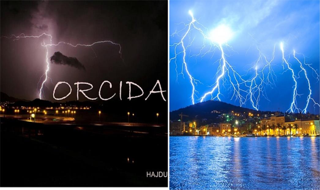 Javila se "nebeska" Torcida, pijavica kod Stobreča (FOTO)