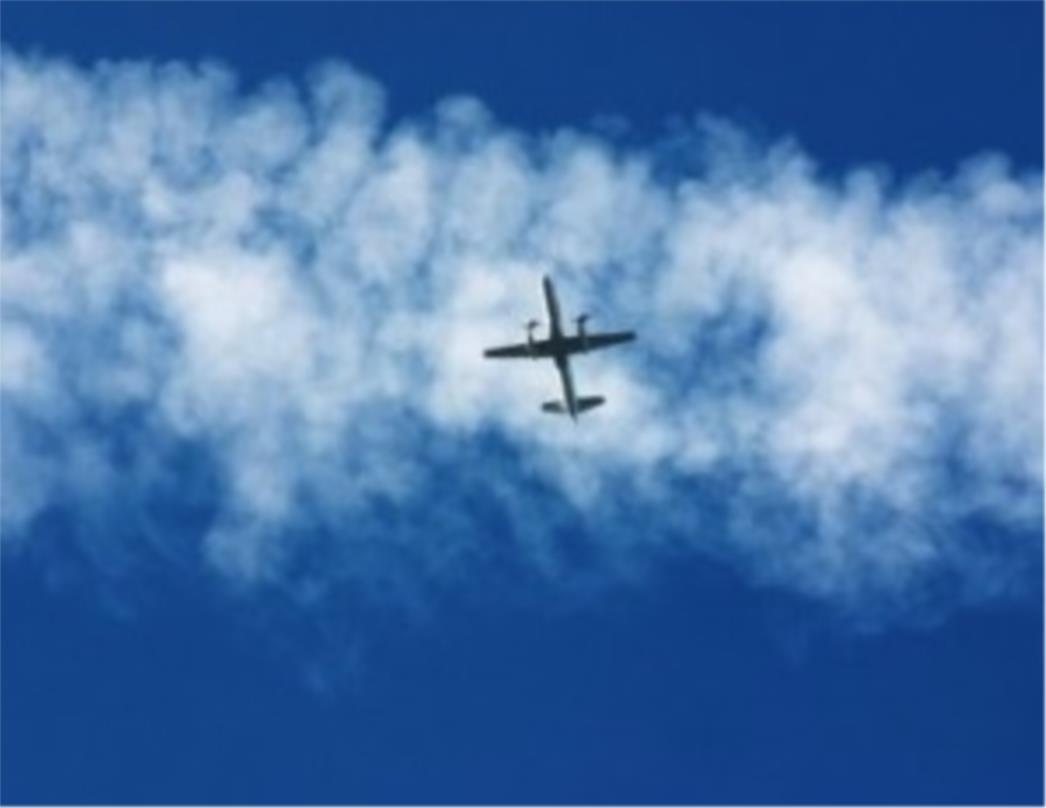 Strava i užas u avionu na liniji Genova - Catania