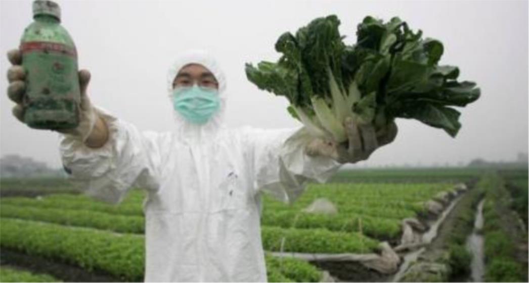 GMO milijuni: Rekordan profit Monsanta
