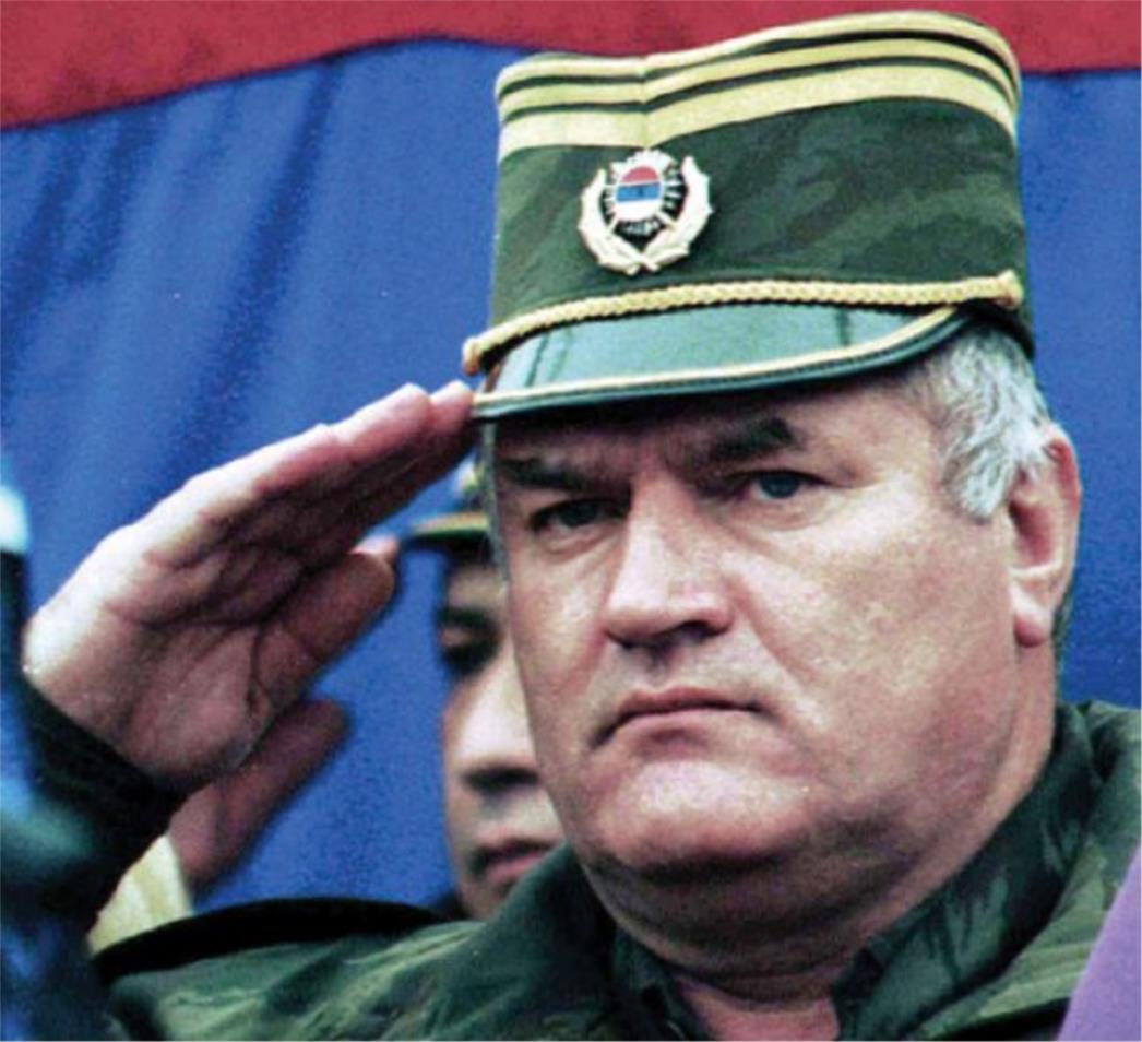  Mladićevi dnevnici su autentični