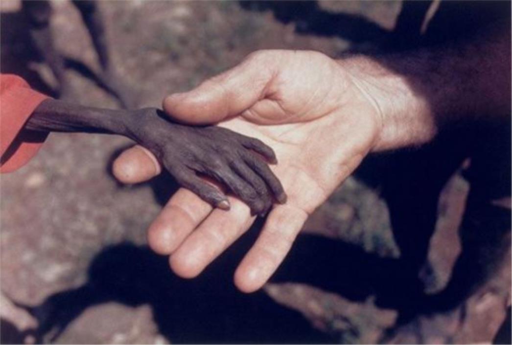 FOTOGRAFIJA DANA -  Uganda
