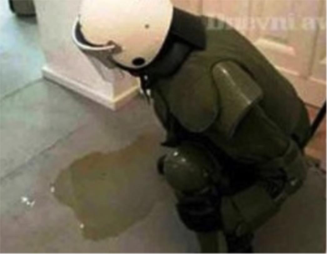 Policajka koja urinira sablaznila njemačku javnost