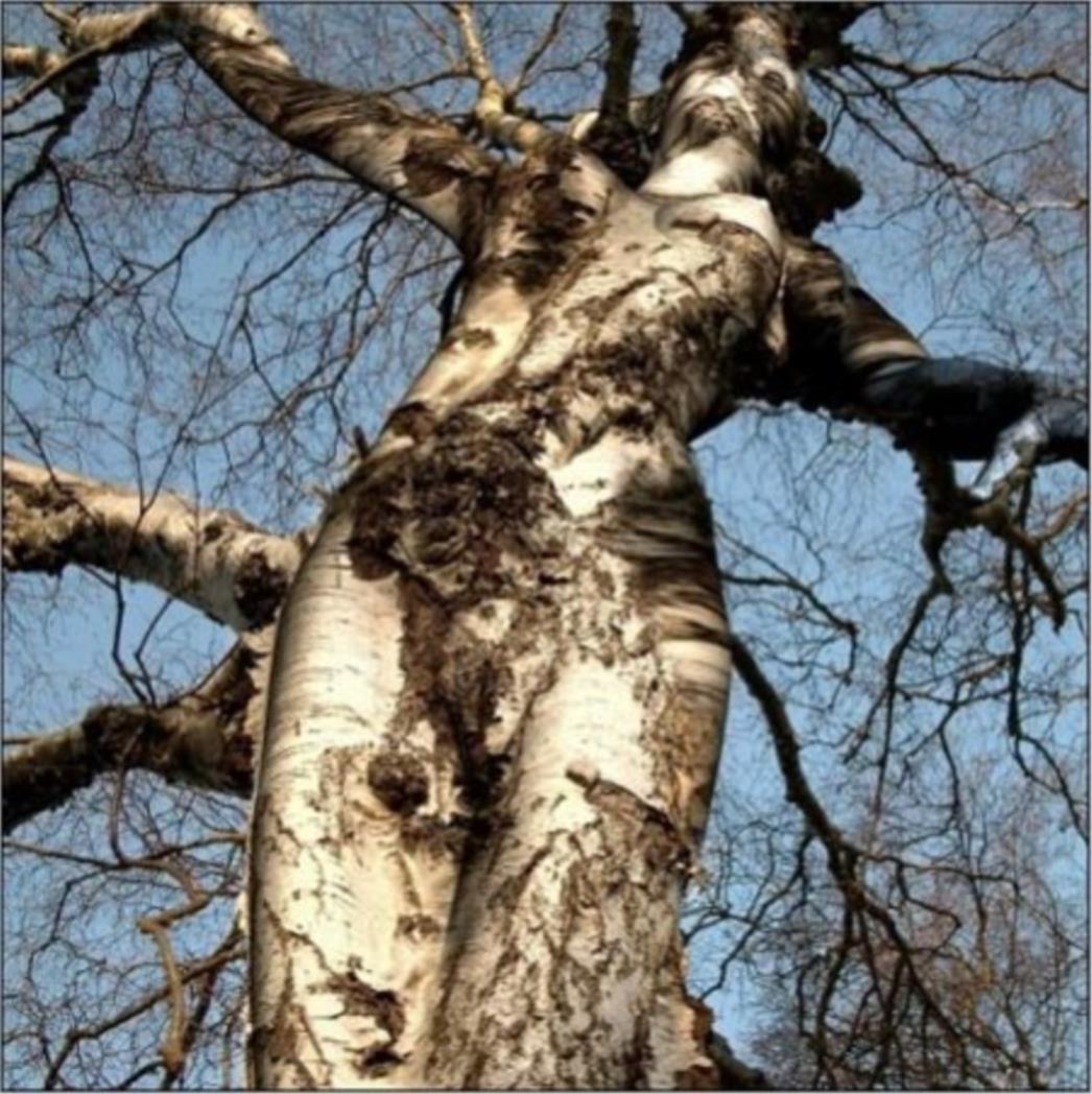  FOTOGRAFIJA DANA - Senzualna priroda