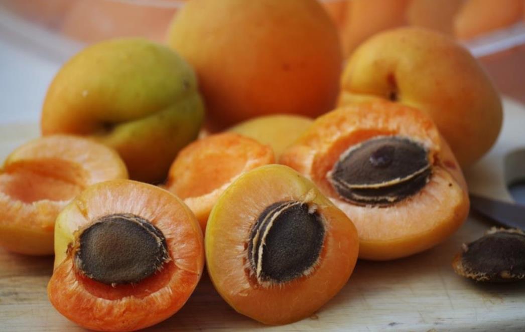  Marelice - jedan  od najbogatijih    prirodnih izvora vitamina