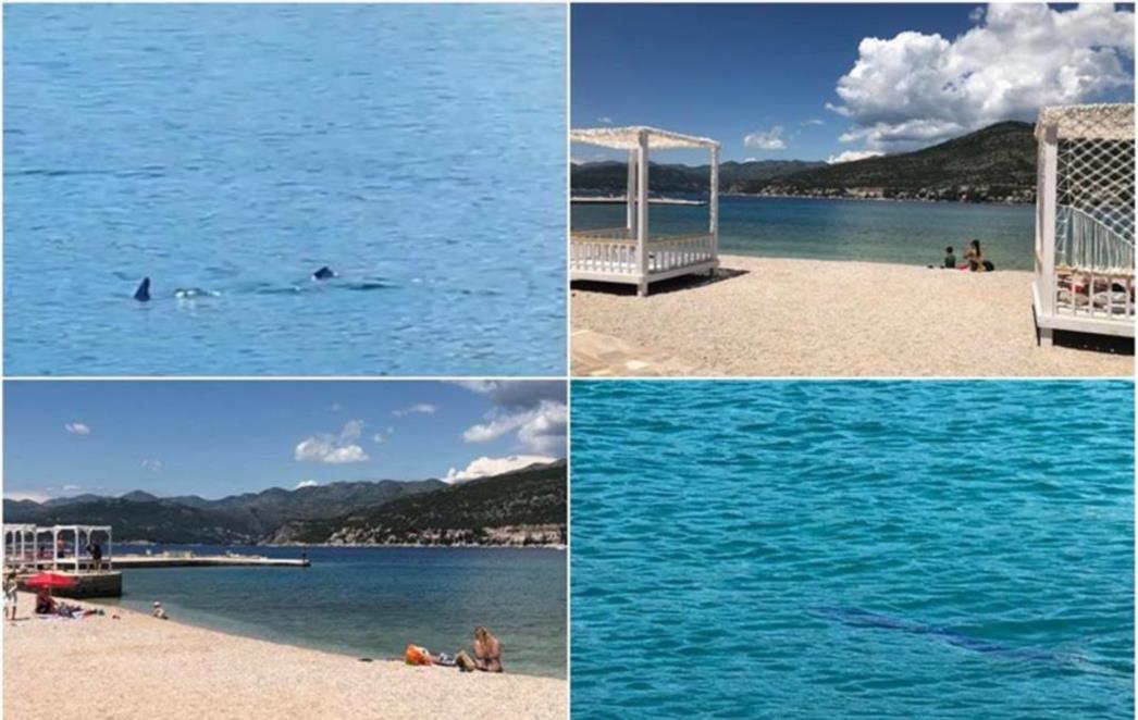 MORSKI PAS NA COPACABANI Ljudi se boje ući u more, došla i policija (FOTO/VIDEO)