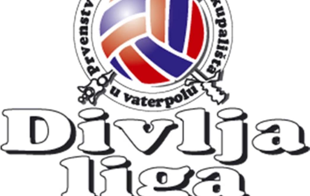 33. Prvenstvo dubrovačkih kupališta u vaterpolu