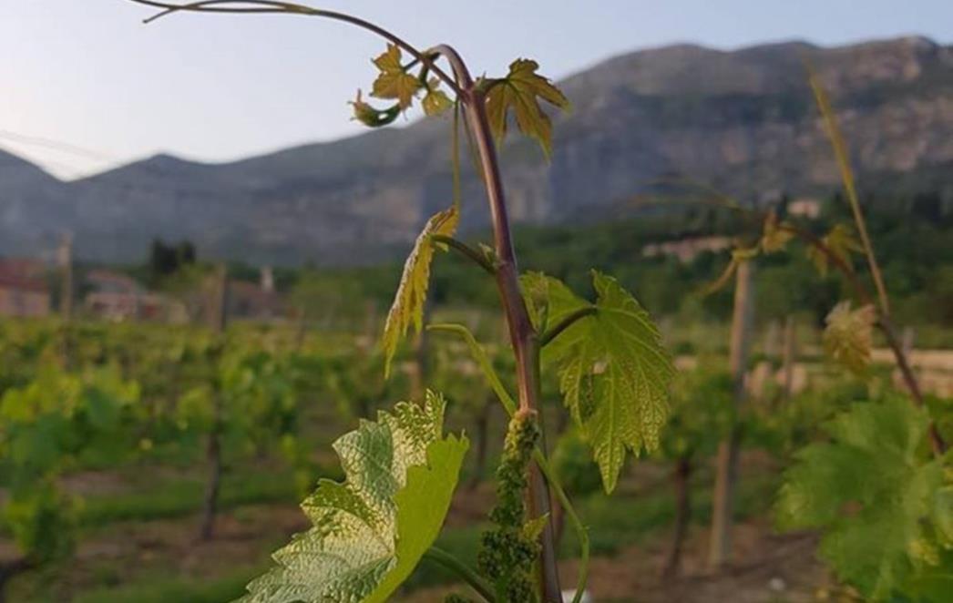 Produljen rok za prijavu na Natječaj za potpore ulaganju u pokretanje nepoljoprivrednih djelatnosti u ruralnim područjima