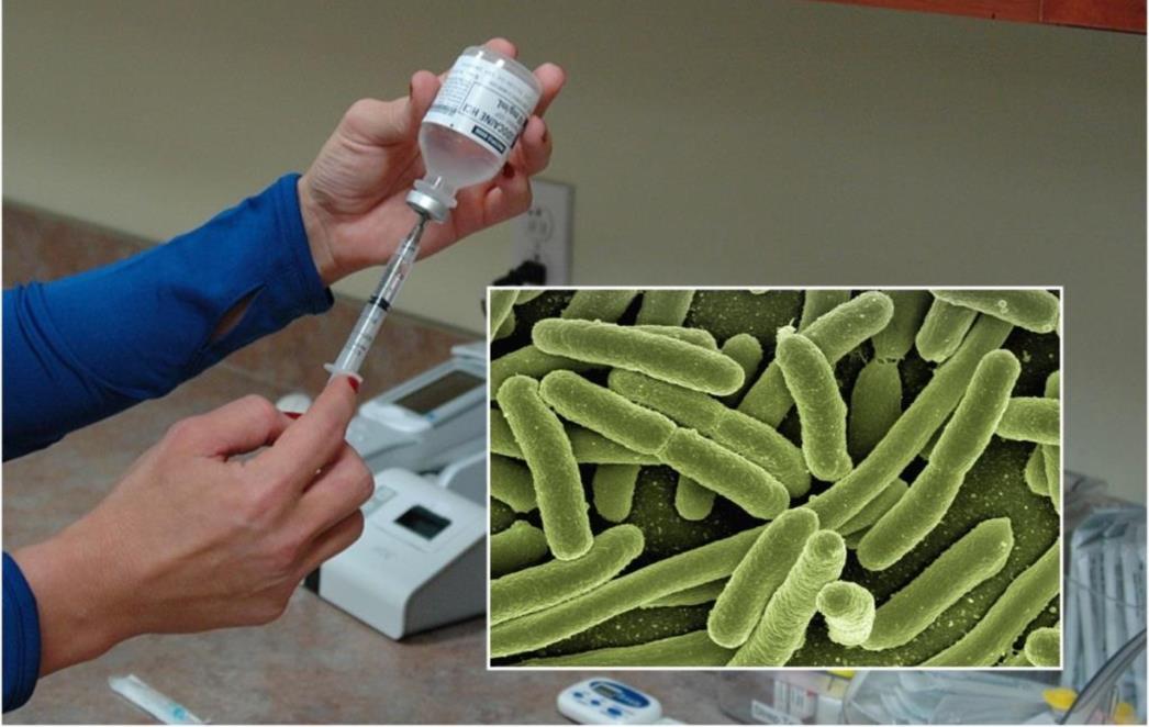 EPIDEMIJA GRIPE Virus mutirao, može se održati i do ljetnih mjeseci