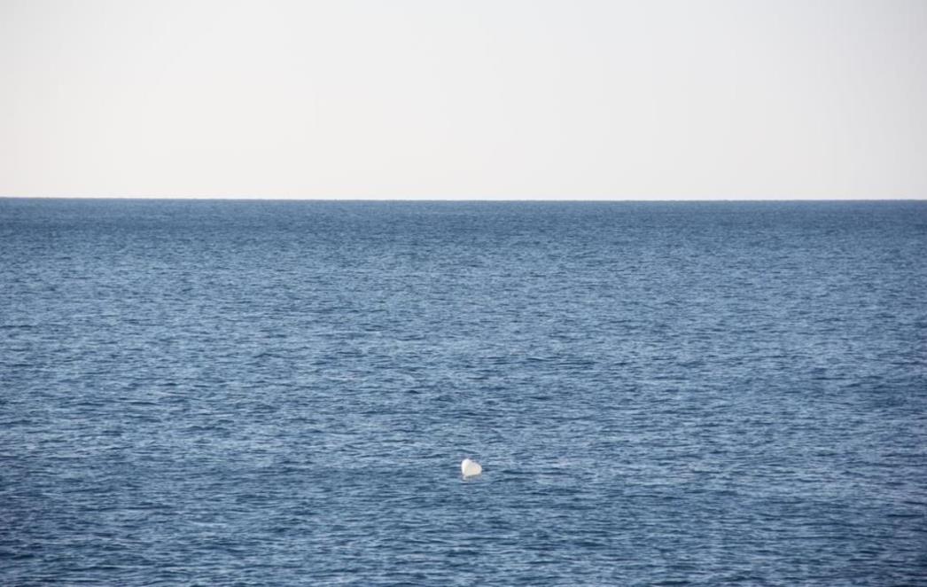 KOBNE POSLJEDICE Niska  razina kisika u   oceanima prijeti    cjelokupnom  morskom životu