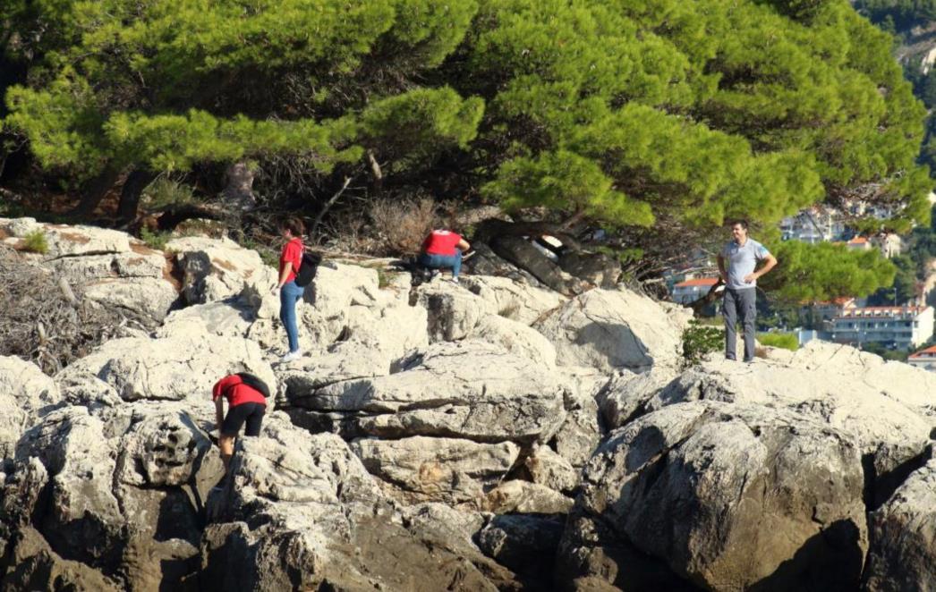 ZELENA ČISTKA: Izmjene u plovidbi broda za Lokrum zbog globalne akcije World CleanUp Day