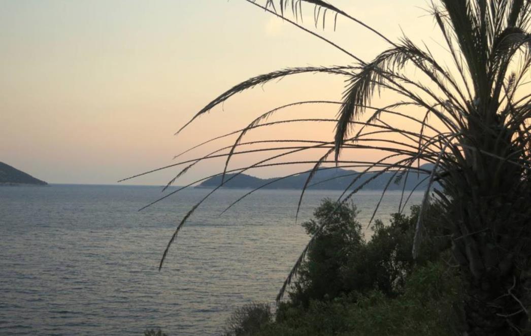 Plaža Soderini u Orašcu bez onečišćenja