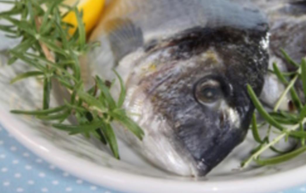 RECEPT DANA: Punjena orada