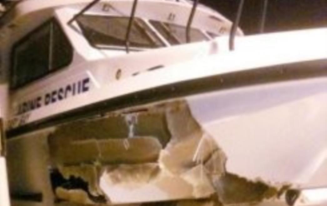 Australija: Sudarili se brod i kit, dvoje povrijeđenih
