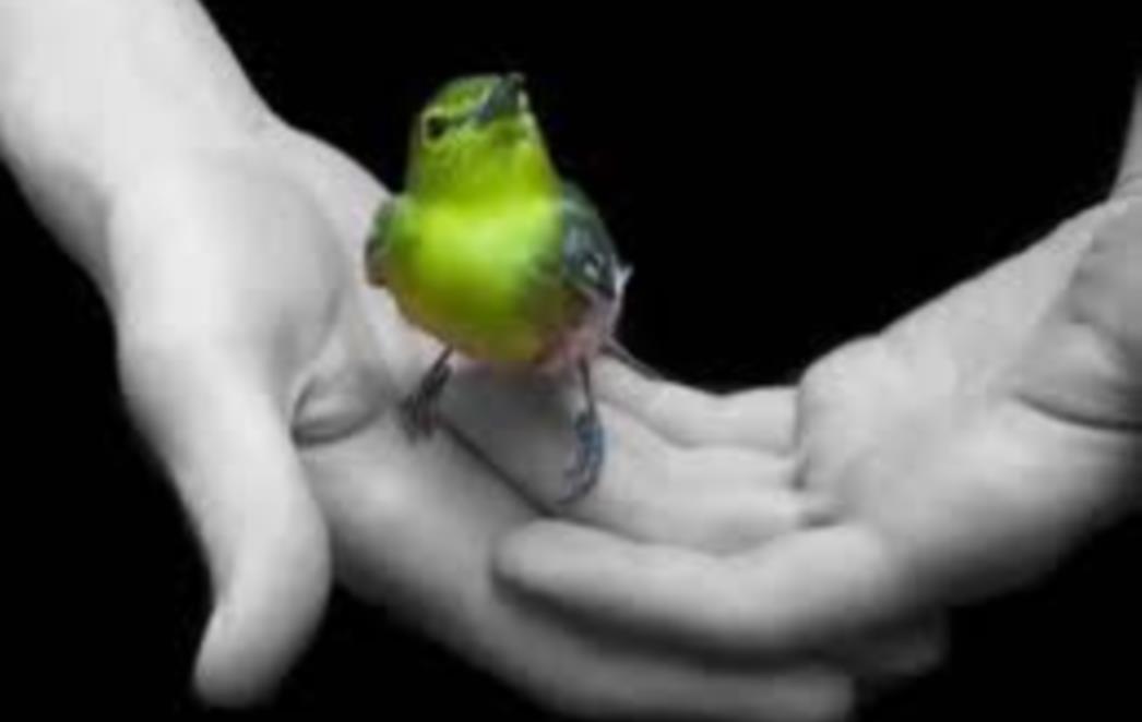 Odričete li se slobode (a da to i ne znate)?