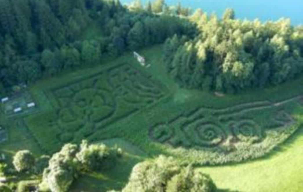 Slovenci dobili prvi 'kukuruzni labirint'