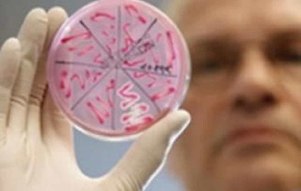   ZABRANA KUPANJA: U Neretvi nađena Escherichie coli, Enterococus faecali i Serratia