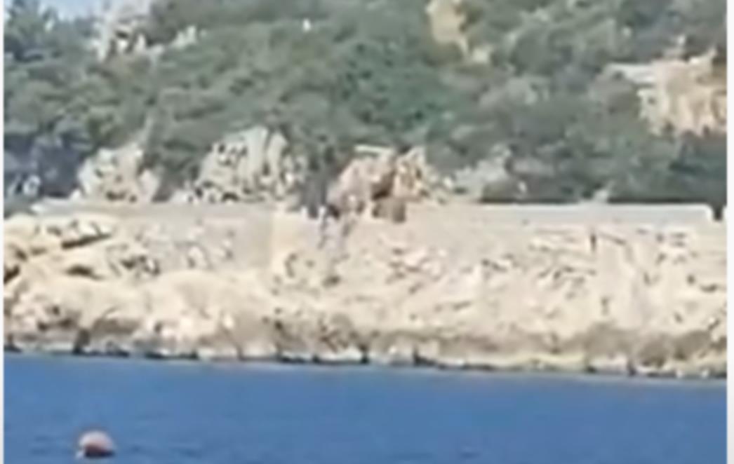 NIJE RIJEČ O UNIŠTAVANJU OBALE Uređuje se plato ispod Arboretuma Trsteno (VIDEO)