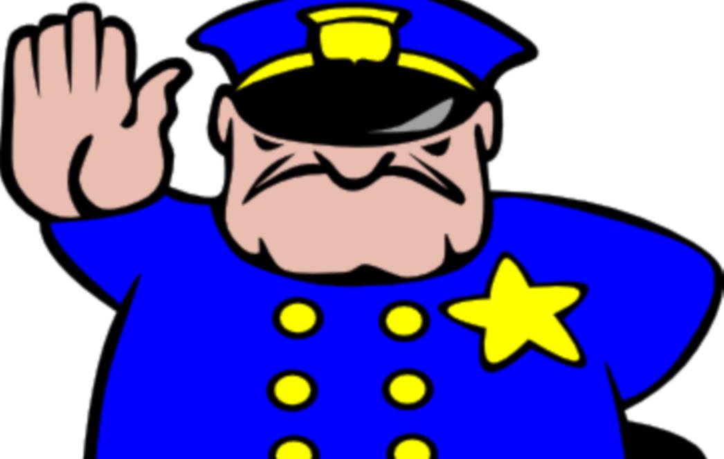 VIC DANA: Policajac u akciji