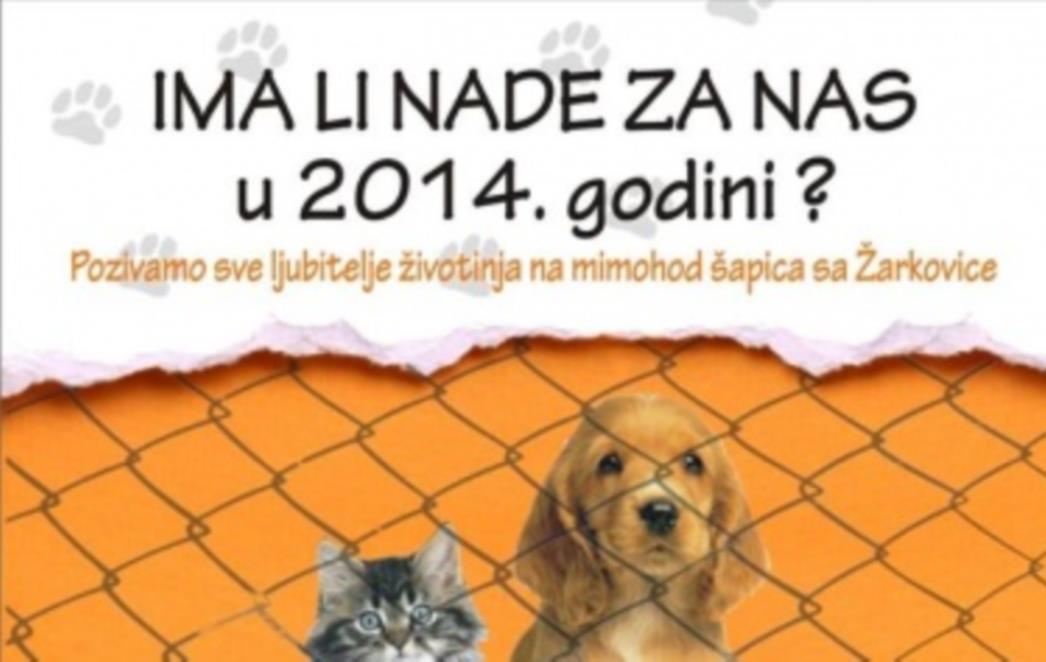 MIMOHOD ŠAPICA NA STRADUNU: 'Ima li nade za nas u 2014.godini?'