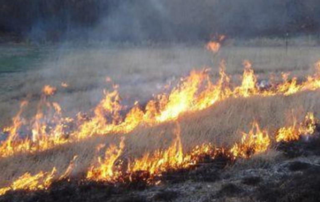 Noćas gorjelo i u Topolom, požar do jutra lokaliziran