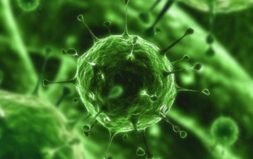  Svjetska zdravstvena organizacija upozorava: Novi virus ptičje gripe jedan je od najsmrtonosnijih dosad