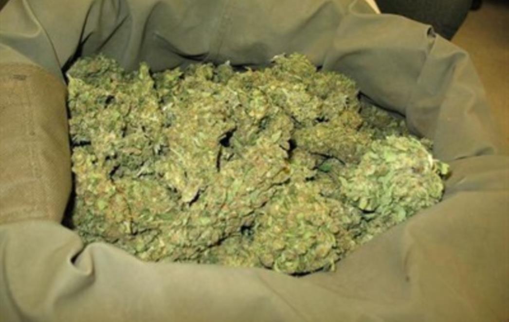 Župa dubrovačka: U kući 41-godišnjaka pronađena marihuana, metalna drobilica i sjemenke indijske konoplje