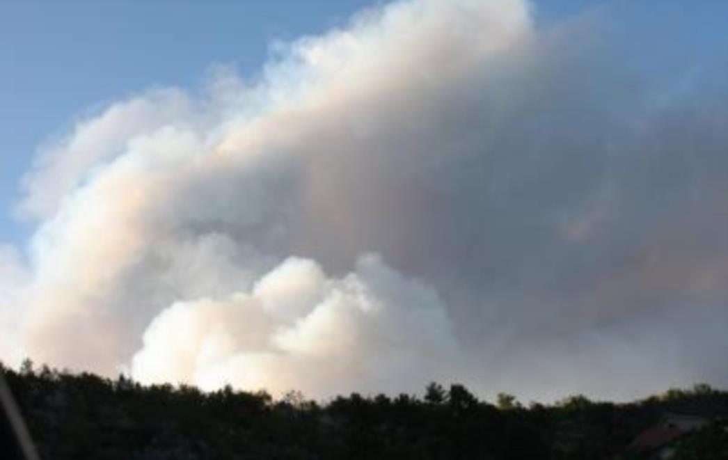 LASTOVO Spaljivala biljni otpad pa izazvala požar